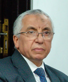 Prof. Dr Mohamed Soliman Mohamed